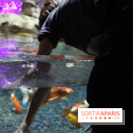 Aquarium de Paris Décembre 2016