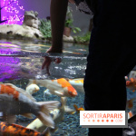 Aquarium de Paris Décembre 2016