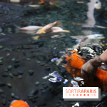 Aquarium de Paris Décembre 2016