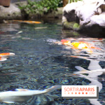 Aquarium de Paris Décembre 2016