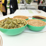 Le Jardin du Brasseur d'Heineken