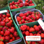 cueillettes des fraises autour de Paris