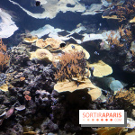 Zig & Sharko à l'aquarium de Paris