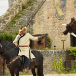 Les Aigles des Remparts de Provins 2017