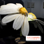 Exposition Jardins au Grand Palais