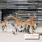 Zoo de Vincennes, Parc Zoologique de Paris 2017