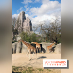 Zoo de Vincennes, Parc Zoologique de Paris 2017