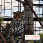 Zoo de Vincennes, Parc Zoologique de Paris 2017