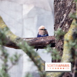 Zoo de Vincennes, Parc Zoologique de Paris 2017