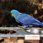 Zoo de Vincennes, Parc Zoologique de Paris 2017