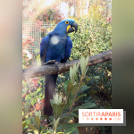 Zoo de Vincennes, Parc Zoologique de Paris 2017