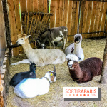 Aventure Floréval, le parcours en pleine nature