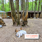 Aventure Floréval, le parcours en pleine nature