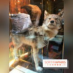 Le Tea Time italien du Caffè Stern