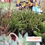 Jardins en Seine 2017