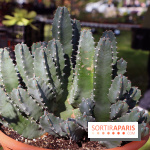 Jardins en Seine 2017