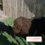 Jardins en Seine 2017