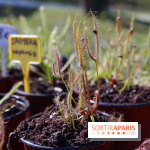 Jardins en Seine 2017