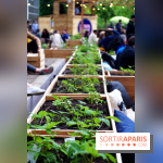 Le Papa Cabane : nouvelle terrasse estivale à Paris