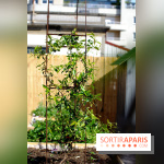 Ground Control 2017 à Paris