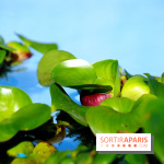 Ground Control 2017 à Paris