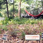 Botany For Change 2017