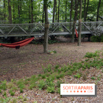 Botany For Change 2017