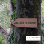 Botany For Change 2017