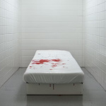 Halloween 2024 : plongez dans le gore dans un asile sanglant avec Asylum chez Koezio