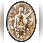 Anatonirisme : l'exposition gratuite entre art et science à la galerie La Lison