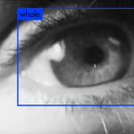 Intelligence artificielle : Le Monde selon l’IA, l'exposition événement au Jeu de Paume