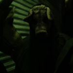 Halloween 2025 à Koezio Cergy : Ritual, l’expérience immersive entre secte, énigmes et frissons