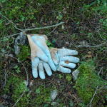 Quests are sometimes disappointing, l’expo photo à la galerie Frangulyan