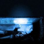 [images additionnelles de LaurentPradal]