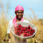 Grandeur Nature, l'exposition photo sur le Toit de la Grande Arche
