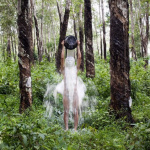 Courants verts, l'exposition à la Fondation EDF