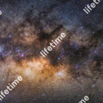 Coronavirus : Lifetime, la réponse artistique de Lafayette Anticipations au confinement