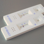 Covid : un test sérologique peu couteux mis au point par un chercheur toulousain