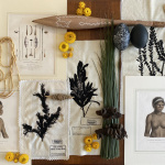 Australia Now 2021 : exposition Jonathan Jones au Palais de Tokyo