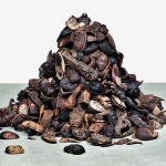 Ex Africa, l'exposition au Musée du Quai Branly