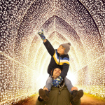 Illuminations de Noël 2022 au Parc Floral, le Sentier Lumineux de Noël