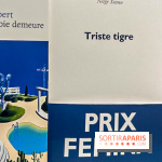 Prix littéraires : découvrez le palmarès de cette année 2023