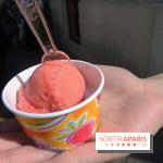 Berthillon, Sorbet Framboise