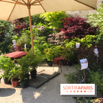 Jardins Jardin 2017 aux Tuileries, les photos