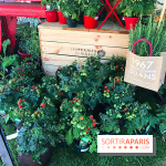 Jardins Jardin 2017 aux Tuileries, les photos