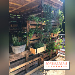 Jardins Jardin 2017 aux Tuileries, les photos