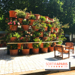 Jardins Jardin 2017 aux Tuileries, les photos
