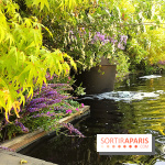 Jardins Jardin 2017 aux Tuileries, les photos