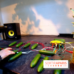 Journée Mondiale du Concombre à la Cartonnerie