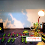 Journée Mondiale du Concombre à la Cartonnerie